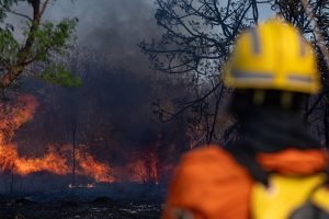 150924_VS-Incendio-Parque-Nacional-de-Brasilia-005