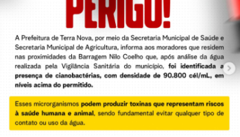 Sem título