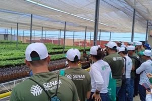 VISITA-TECNICA-660x330