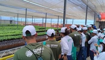 VISITA-TECNICA-660x330