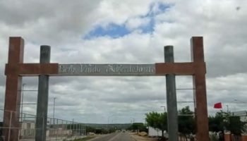 Verdejante