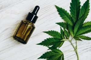 cannabis-3