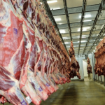 carne-frigo-1200x675-1
