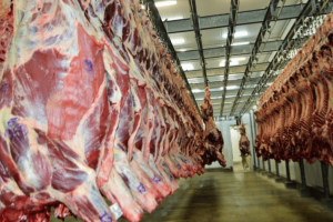 carne-frigo-1200x675-1