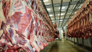 carne-frigo-1200x675-1