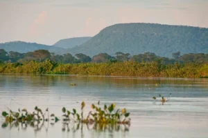 cerrado-1200x675-1