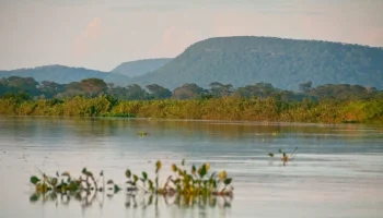 cerrado-1200x675-1