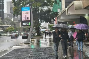 chuva-paulista2