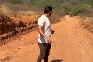estradaMonteAlegre