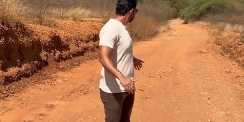 estradaMonteAlegre