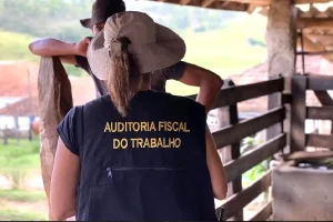 fiscal-trabalho-abr-2025