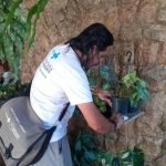 foto-vistoria-de-dengue-1