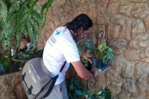 foto-vistoria-de-dengue-1