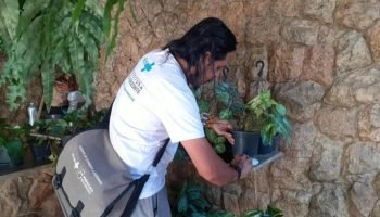 foto-vistoria-de-dengue-1