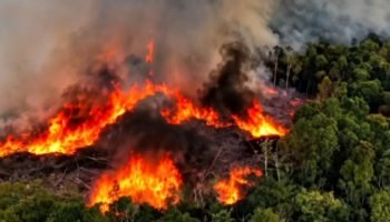 incendio-manaus-2