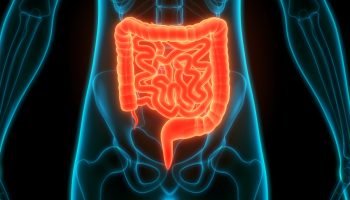 intestino_4