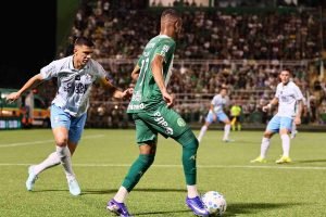 palpite-gremio-x-chapecoense-brasileirao-30-08-26