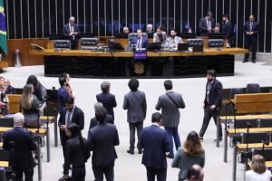 plenario-camara-blusinhas
